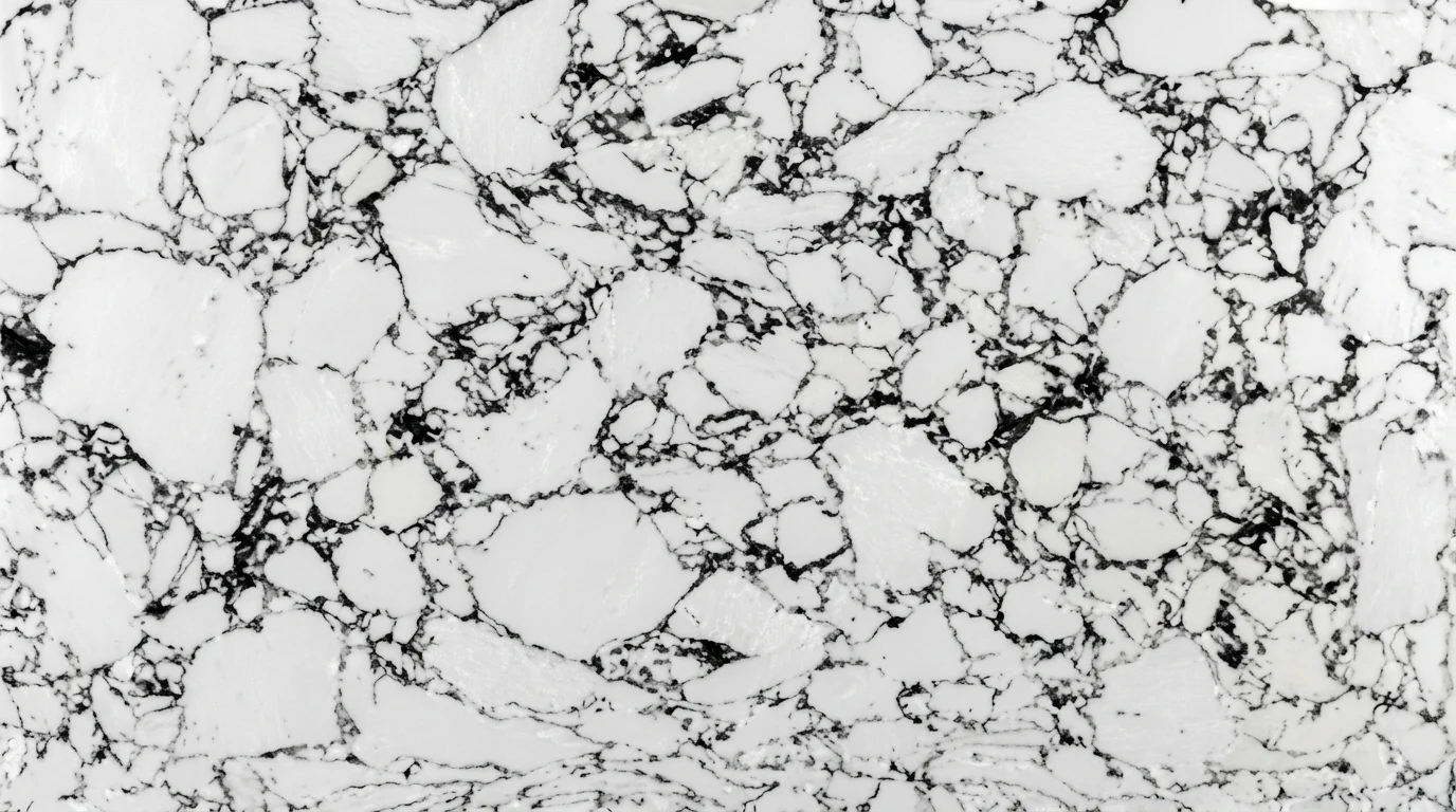 Calacatta Blanc Noir